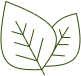 icon3